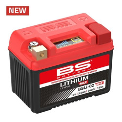BS BATTERY Battery Lithium-Iron-Phosphate - BSLi-02 MAX