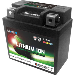 SKYRICH Battery Lithium-Ion - LTKTM04L